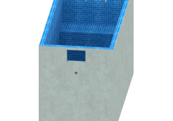 Dawn Plunge Pool