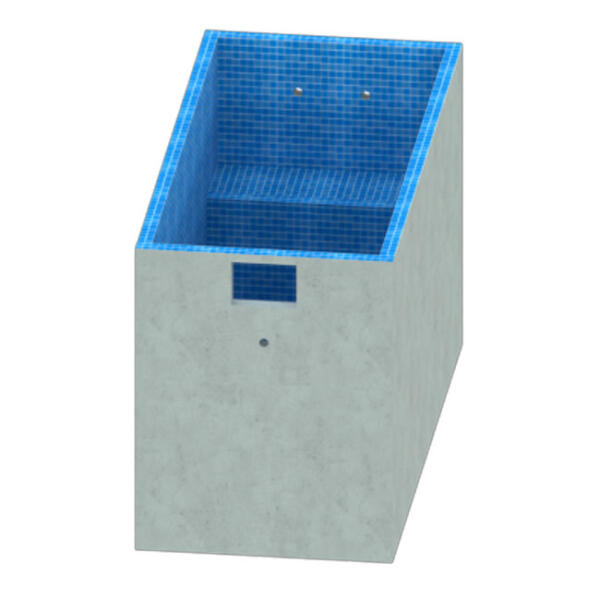 Dawn Plunge Pool